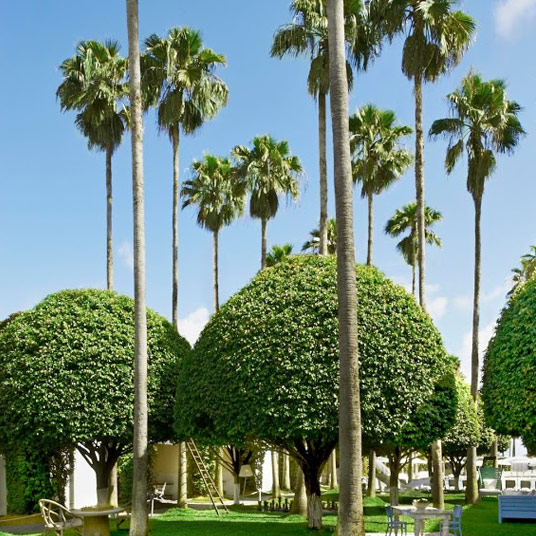Delano South Beach