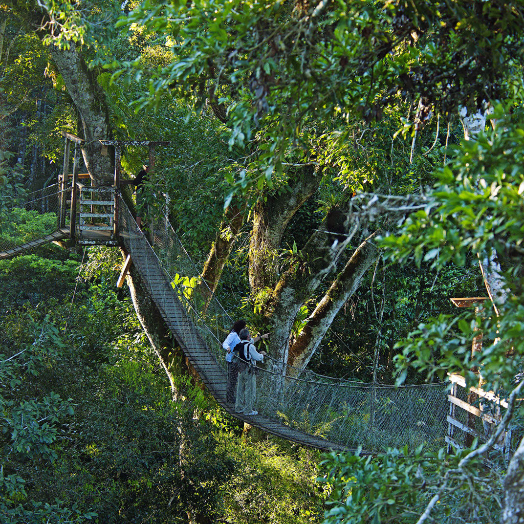 Inkaterra Reserva Amazonica