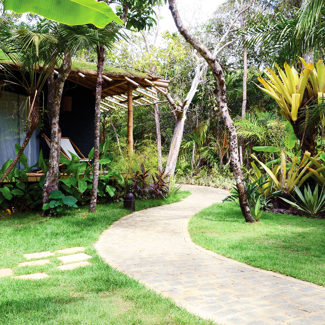 Butterfly House Bahia