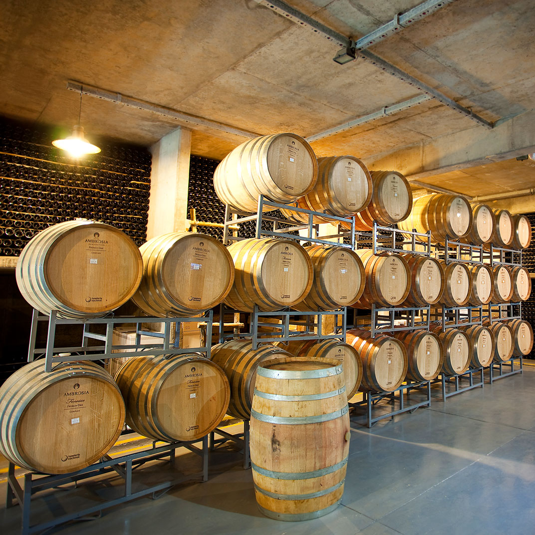 Algodon Wine Estates