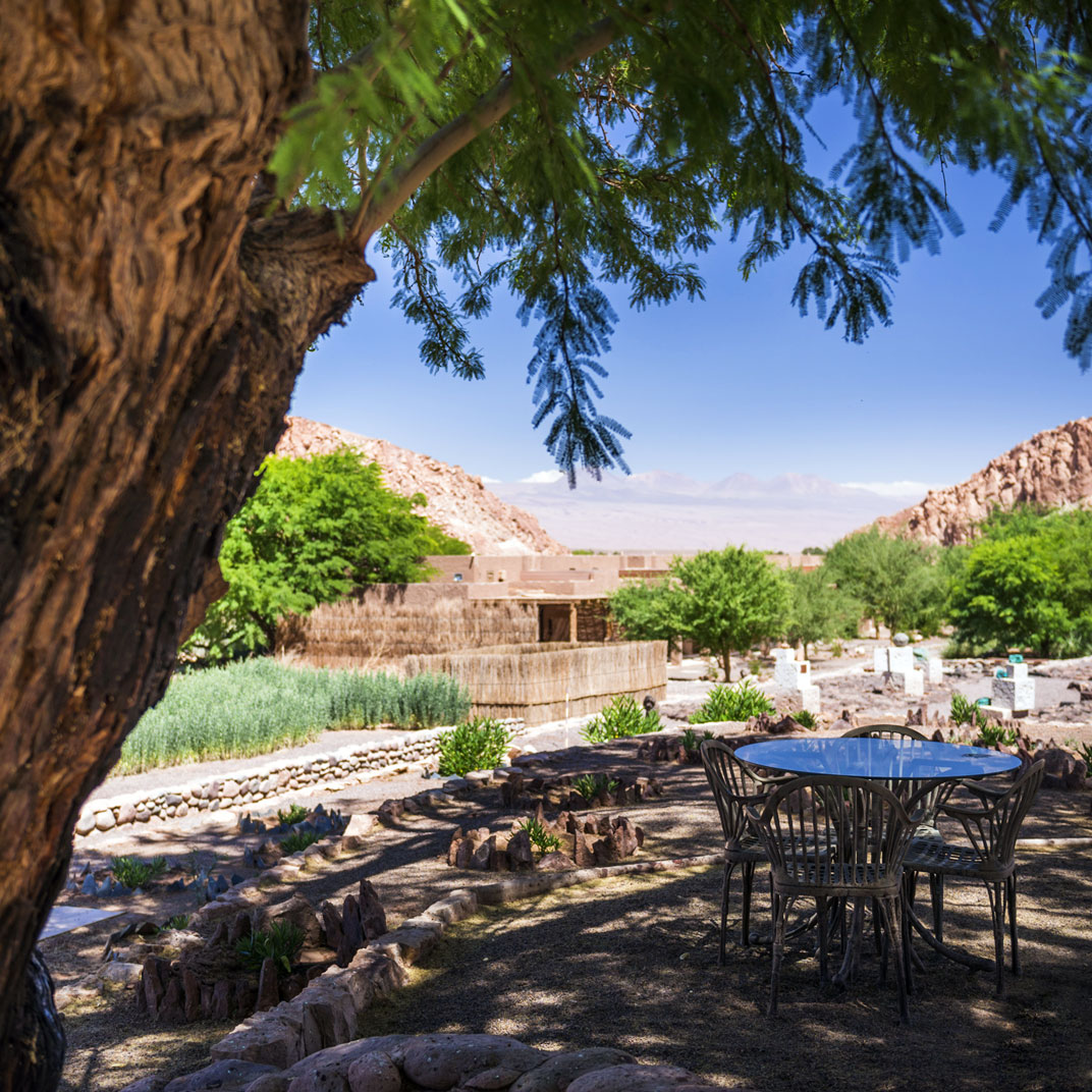 Alto Atacama Desert Lodge & Spa