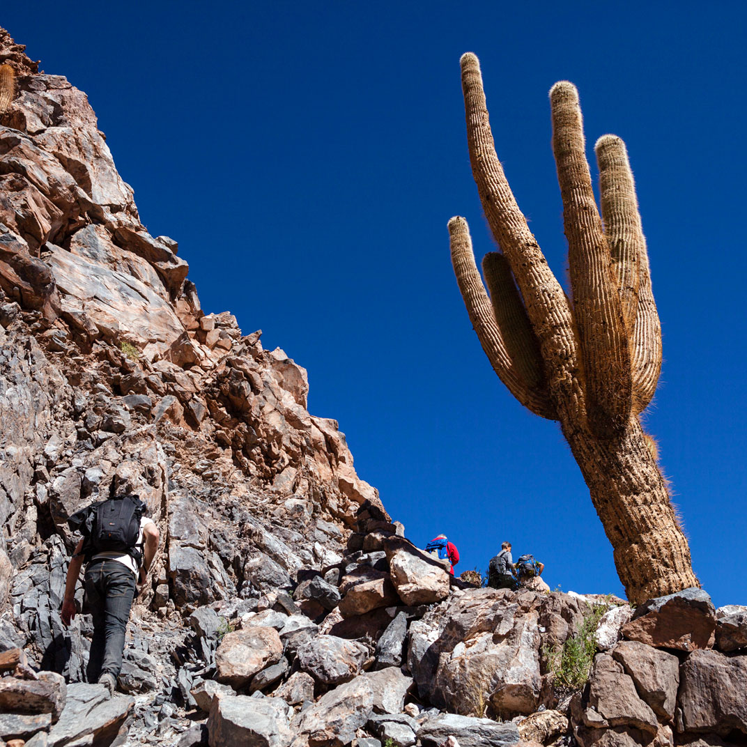 Alto Atacama Desert Lodge & Spa