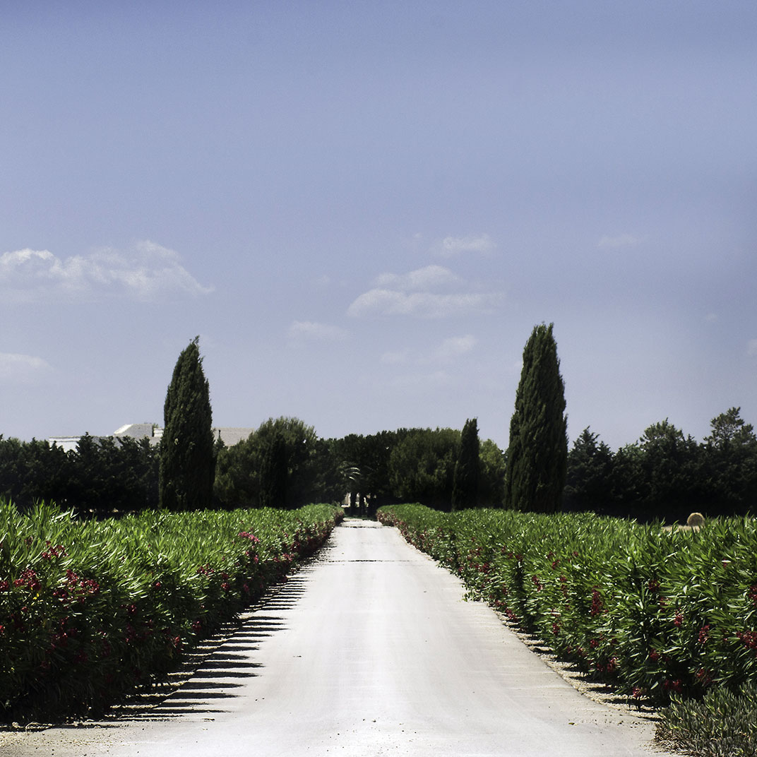 Masseria Bagnara Resort & Spa