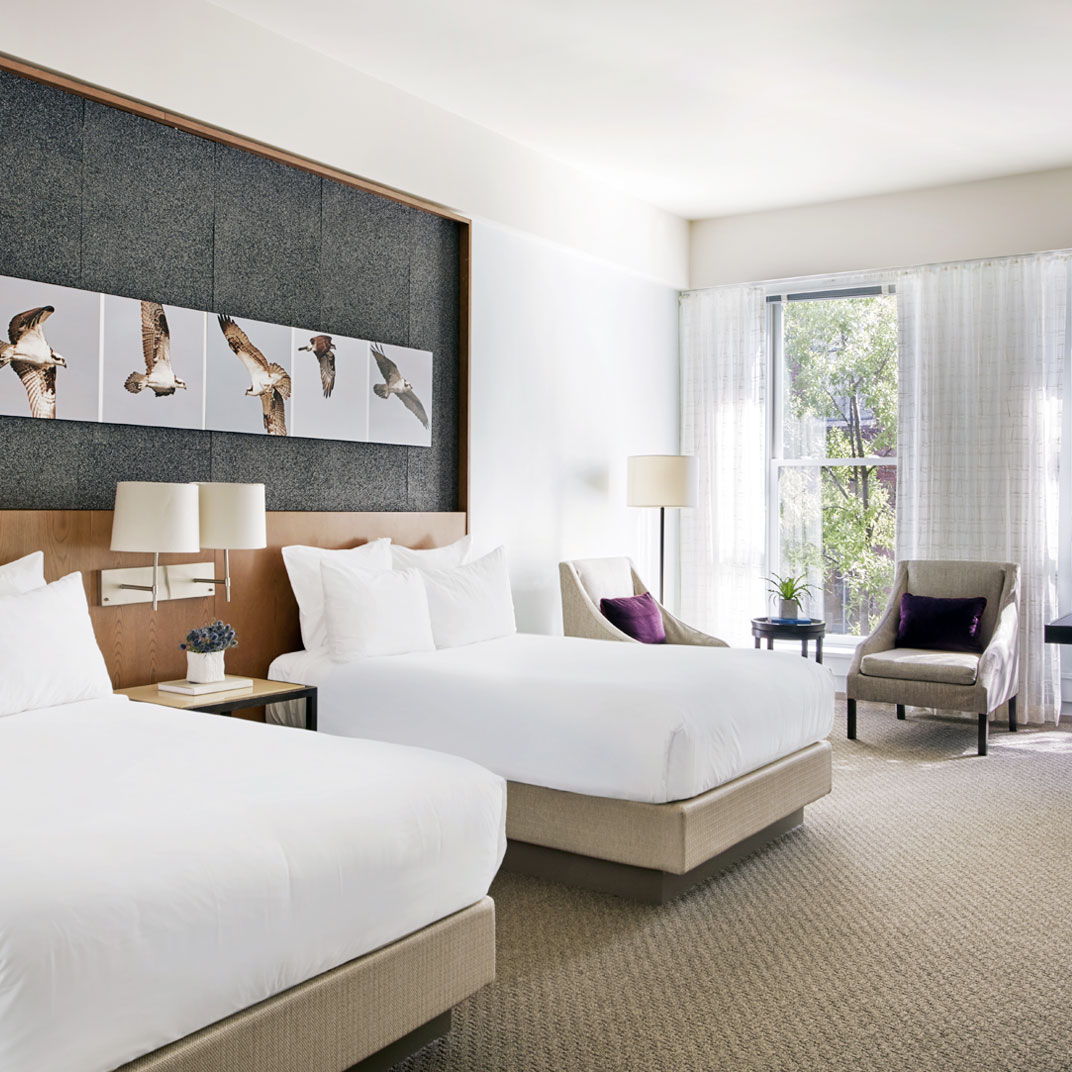 21c Museum Hotel, Louisville