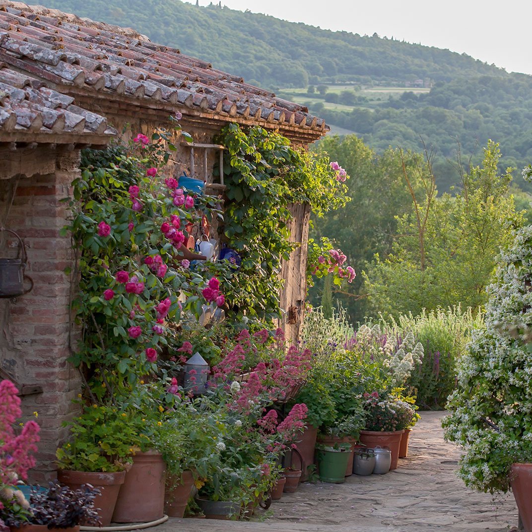 Follonico Suite B&B