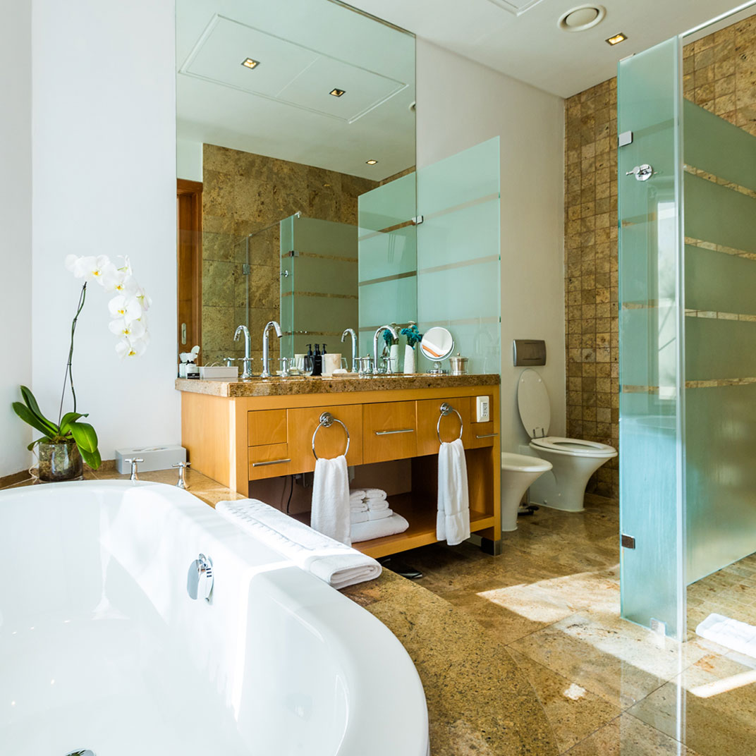 Ellerman House