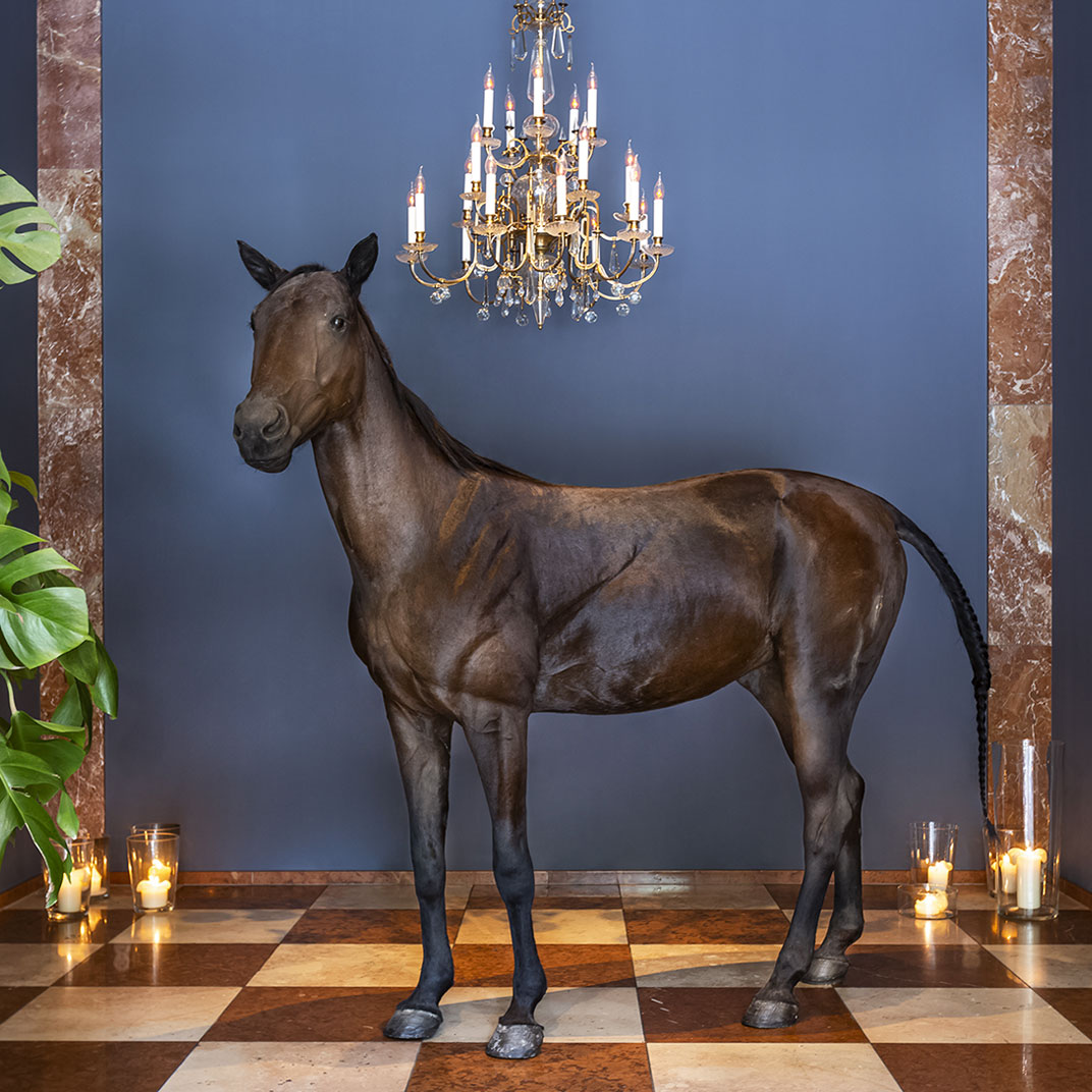 Grand Ferdinand Vienna