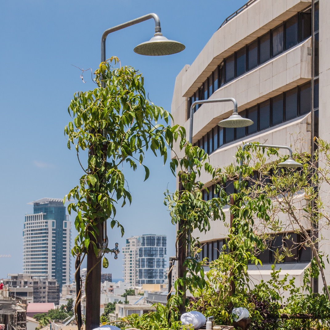 Brown TLV Urban Hotel