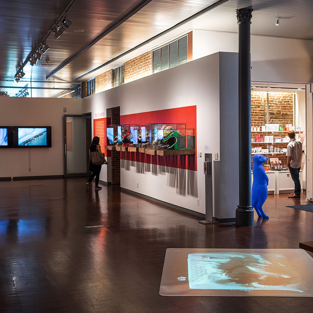21c Museum Hotel, Louisville