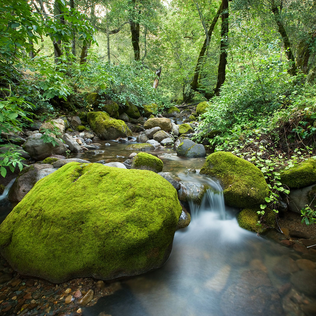 Calistoga Ranch